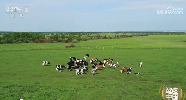 1723055597.png 44.png