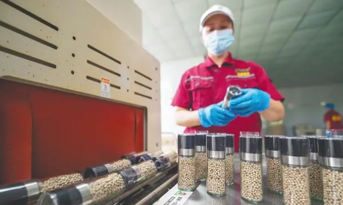 海南农垦企业做强农产品精深加工 土特产“链”上新食...