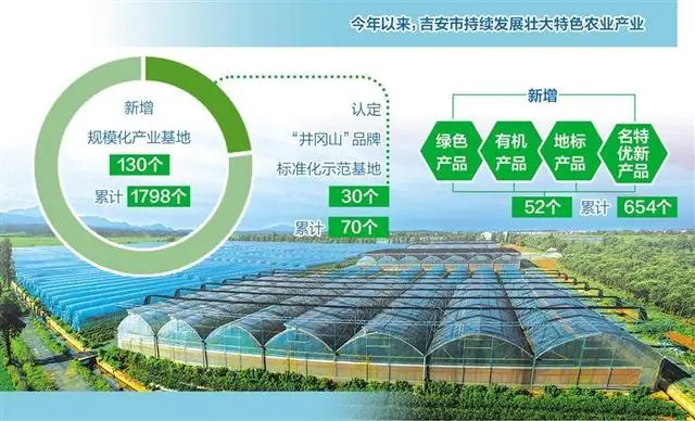 扬优成势擦亮“井冈山”——江西吉安做强农产品区域公...