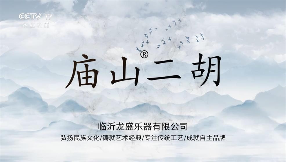 临沂龙盛乐器有限公司