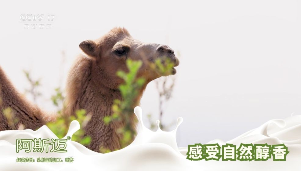 新疆阿斯迈乳业有限公司